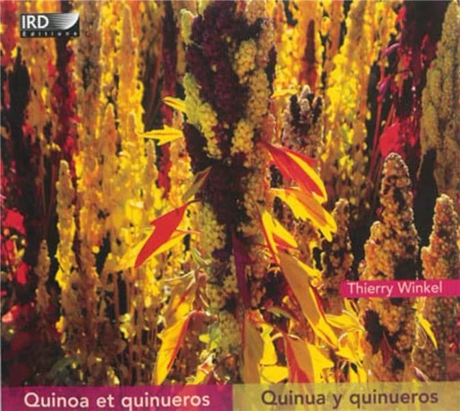 Quinoa et quinueros