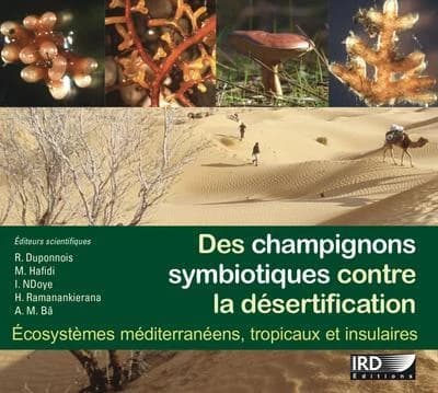 Des champignons symbiotiques contre la desertification