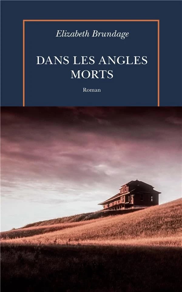 Dans les angles morts : roman