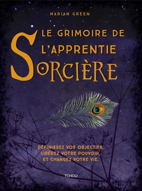 Le grimoire de l'apprentie sorcière : définissez vos objectifs, libérez votre pouvoir, et changez votre vie