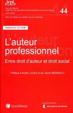 L'auteur professionnel : Entre droit d'auteur et droit social