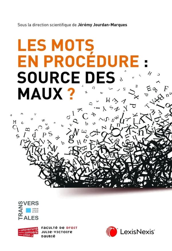 Les mots en procédure, source des maux ?