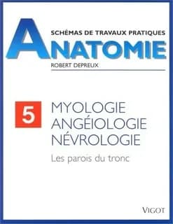 Les Parois du tronc : myologie, angéiologie, névrologie