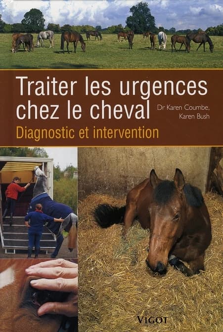 Traiter les urgences chez le cheval : diagnostic et intervention