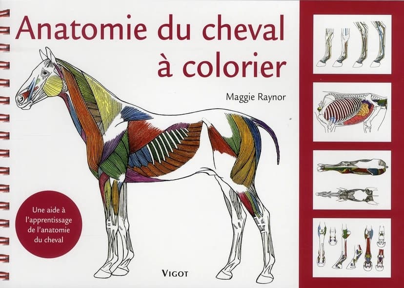Anatomie du cheval à colorier : une aide à l'apprentissage de l'anatomie du cheval