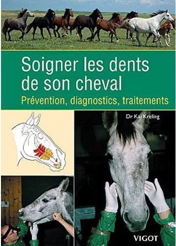 Soigner les dents de son cheval : prévention, diagnostics, traitements
