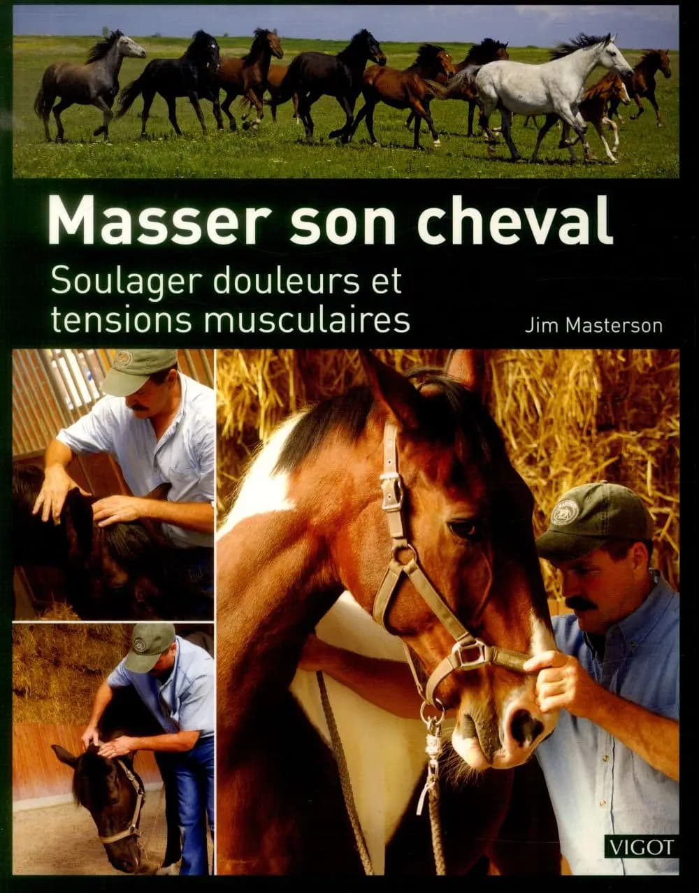 Masser son cheval : soulager douleurs et tensions musculaires