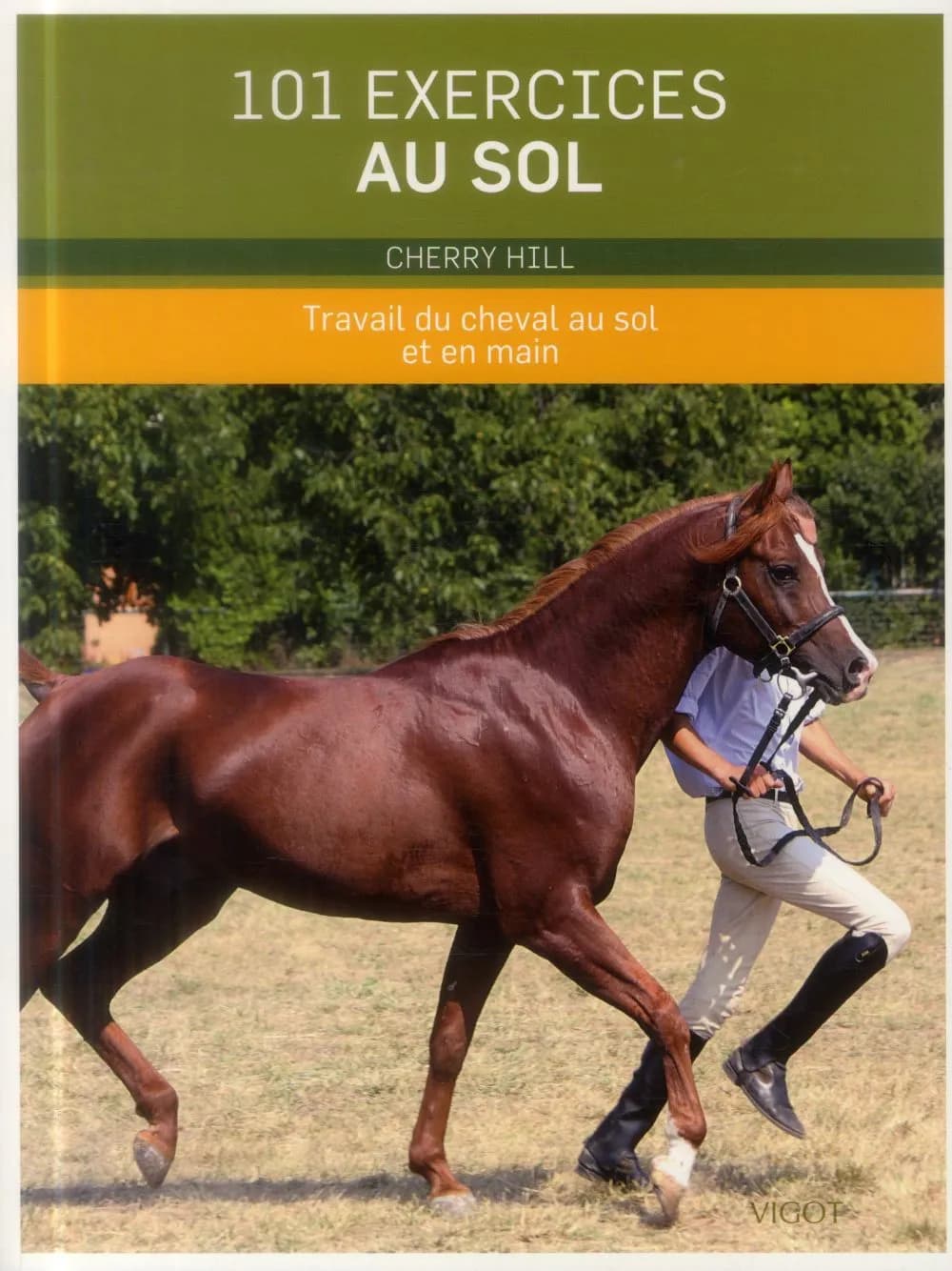 101 exercices au sol : travail du cheval au sol et en main