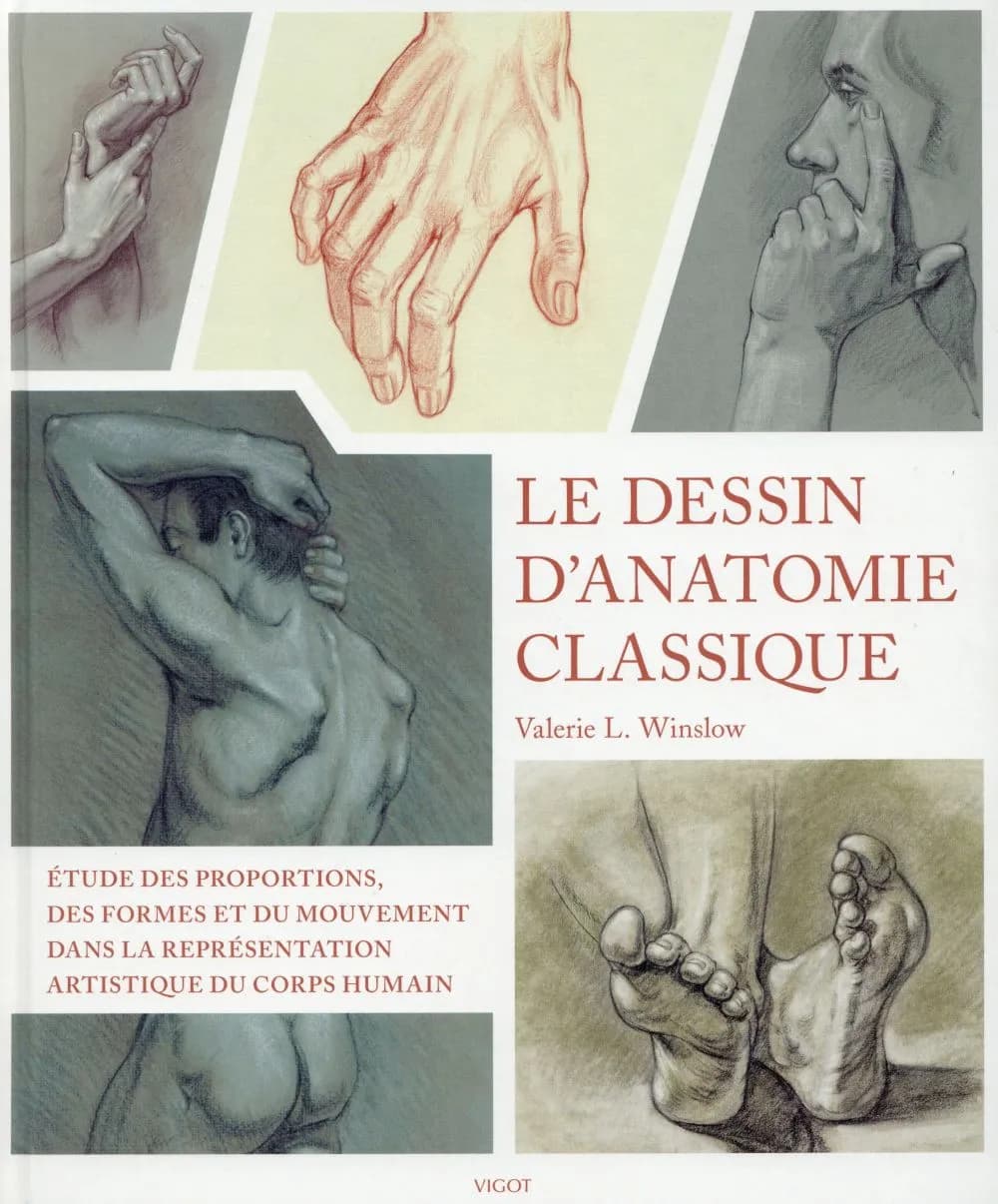 Le dessin d'anatomie classique : étude des proportions, des formes et du mouvement dans la représentation artistique du corps humain