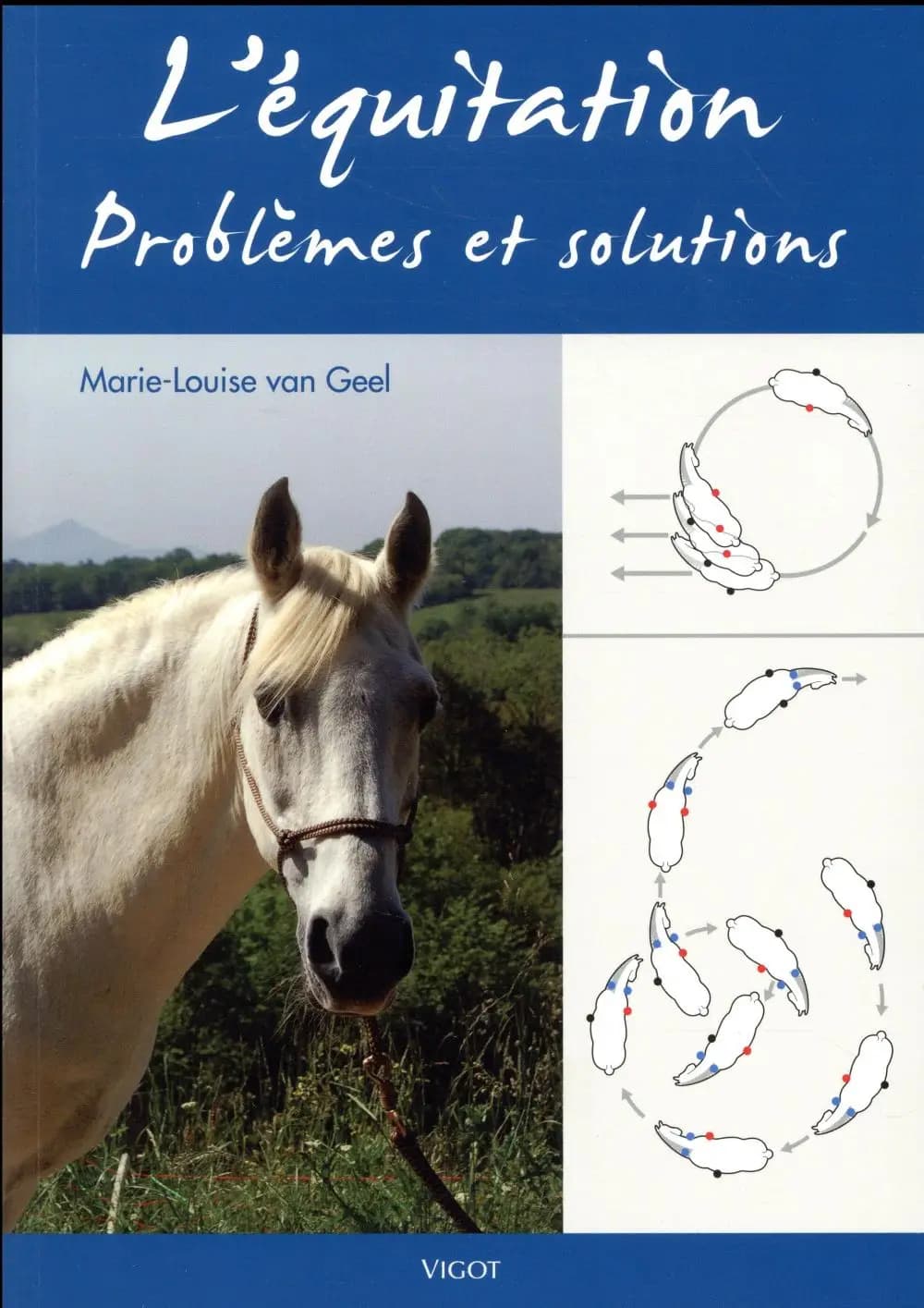 L'équitation : problèmes et solutions