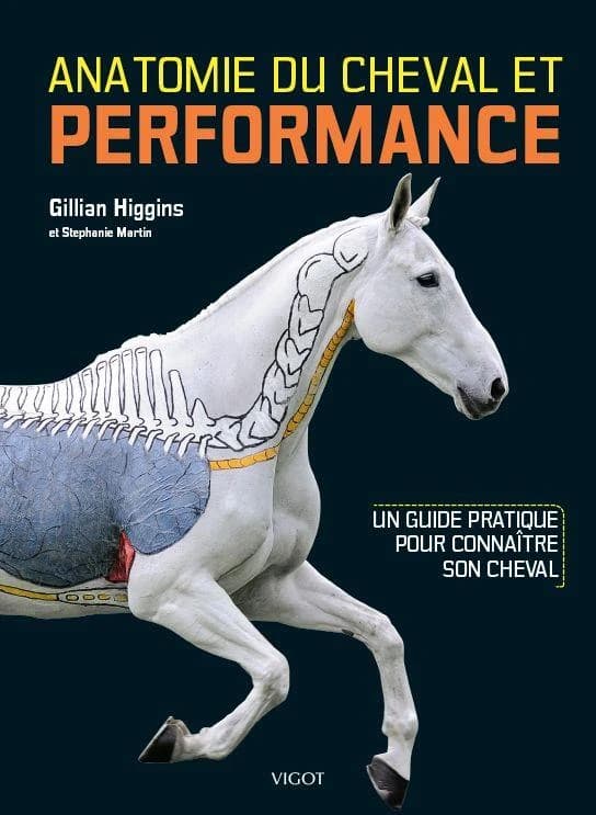 Anatomie du cheval et performance : un guide pratique pour connaître son cheval (Nouvelle éd.) Gillian Higgins et Stéphanie Martin