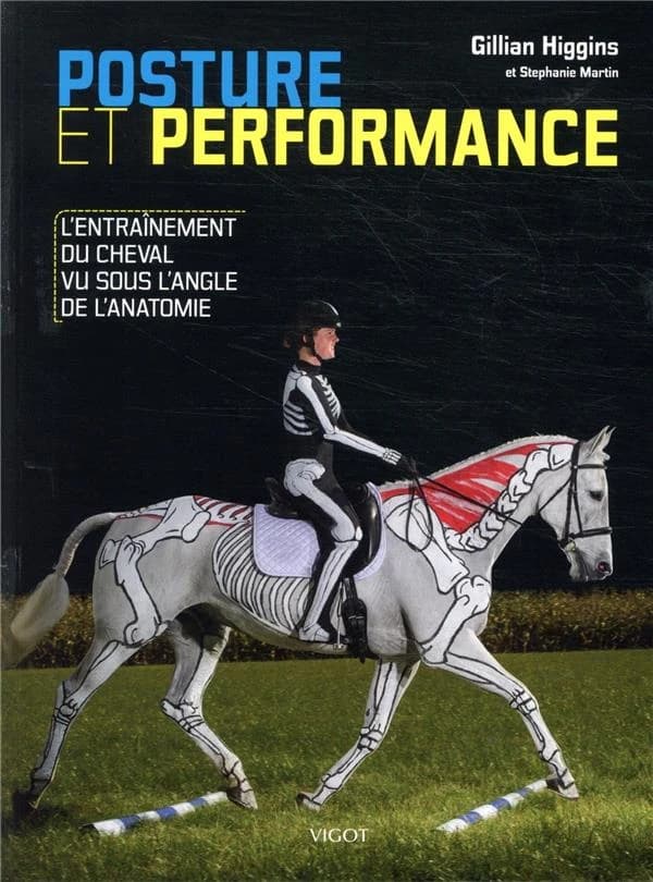 Posture et performance : l'entraînement du cheval vu sous l'angle de l'anatomie