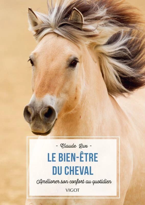 Le bien-être du cheval : améliorer son confort au quotidien