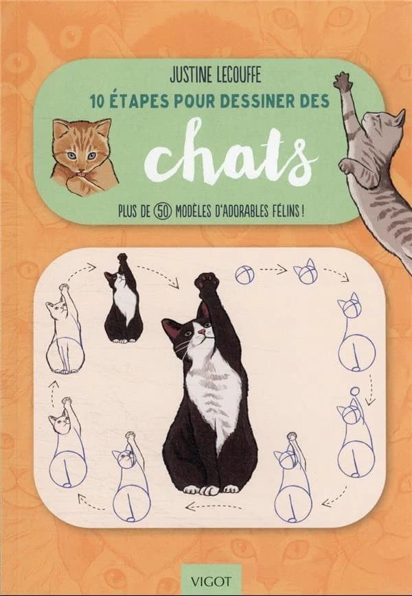 10 étapes pour dessiner des chats : plus de 50 modèles d'adorables félins !