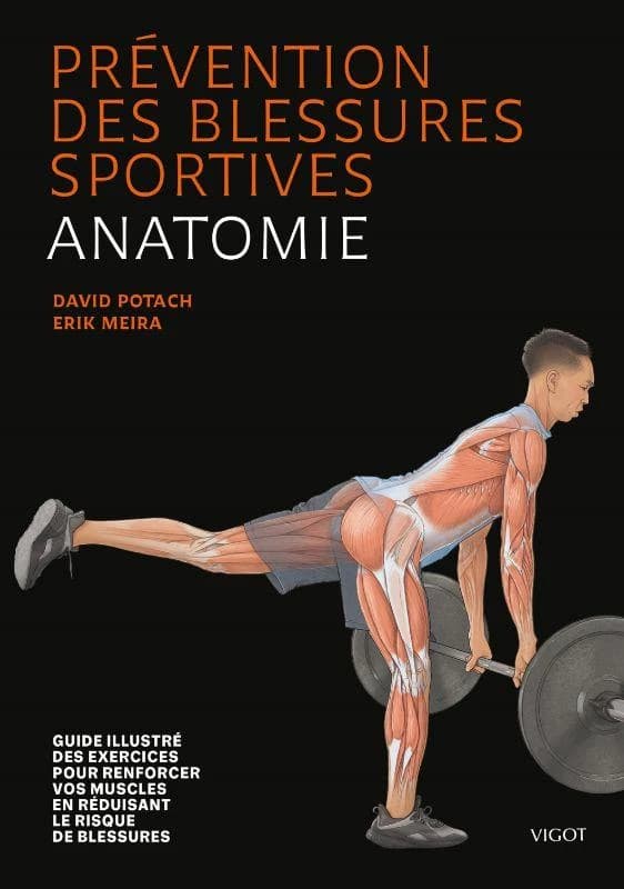 Prévention des blessures sportives : anatomie