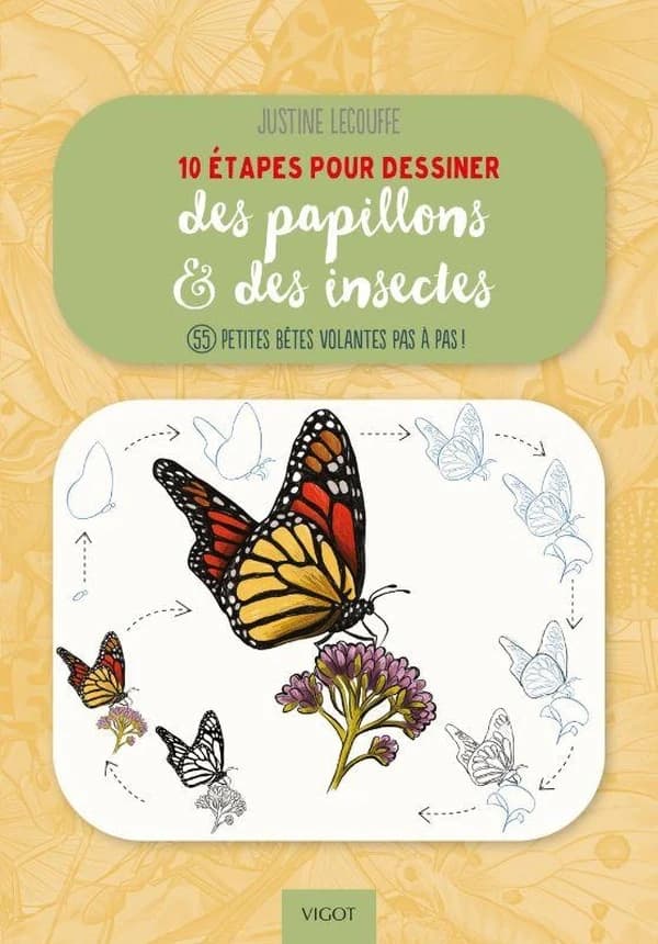 10 étapes pour dessiner des papillons & des insectes : 55 petites bêtes volante pas à pas !