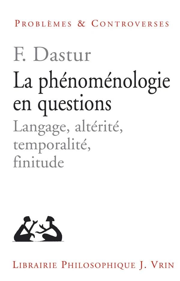 La phénoménologie en questions