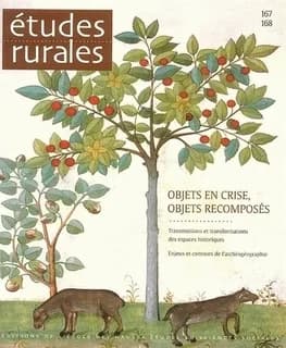 Objets en crise, objets recomposés : transmissions et transformations des espaces historiques, enjeux et contours de l'archéogéographie