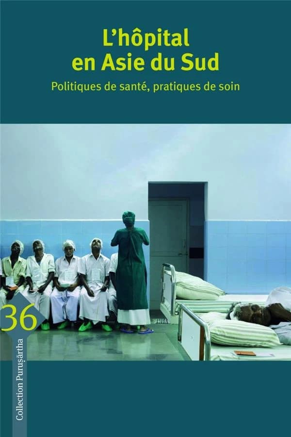 L'hôpital en Asie du Sud : politiques de santé, pratiques de soin