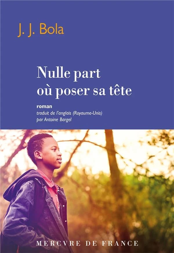 Nulle part où poser sa tête : roman