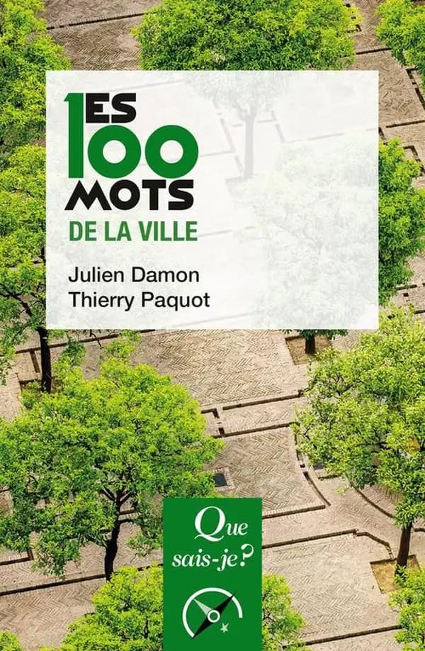 Les 100 mots de la ville (2e éd. mise à jour) Julien Damon, Thierry Paquot