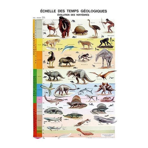 échelle des temps géologiques