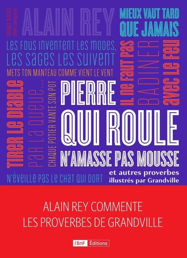 Pierre qui roule n'amasse pas mousse : et autres proverbes