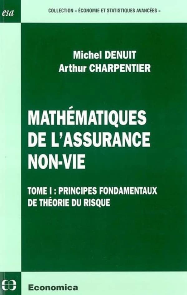 Mathématiques de l'assurance non-vie Tome I