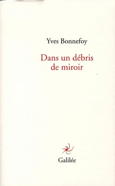 Dans un débris de miroir