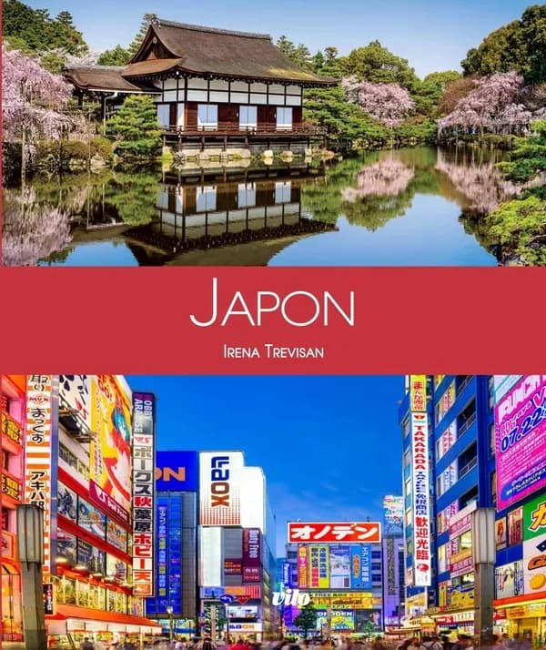 Japon (Nouvelle éd.) Irena Trevisan ; traduit de l'italien par Damien Zalio