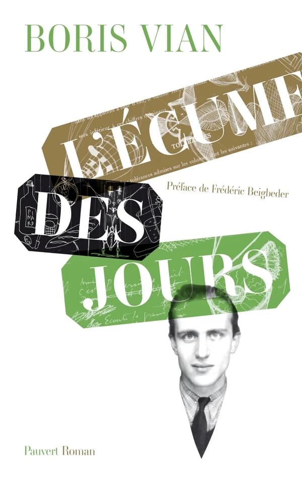 L'écume des jours : roman