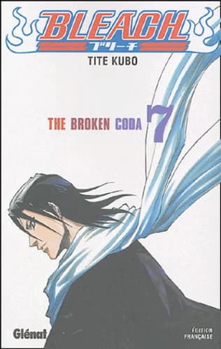 Bleach Tome 7