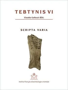 Tebtynis : fouilles franco-italiennes. VI, Scripta varia : textes hiéroglyphiques, hiératiques, démotiques, araméens, grecs et coptes sur différents supports : S.V. Tebt. I