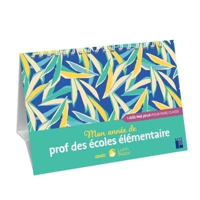 Mon année de prof des écoles élémentaire avec Lutin Bazar : 1 idée par jour pour faire classe