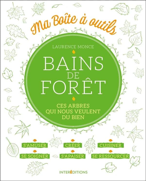Bain de forêt : ces arbres qui nous veulent du bien : ma boîte à idée