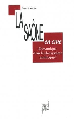 La Saône en crue : dynamique d'un hydrosystème anthropisé