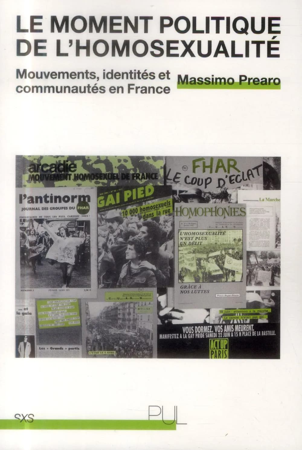 Le moment politique de l'homosexualité mouvements, identités et communautés en France