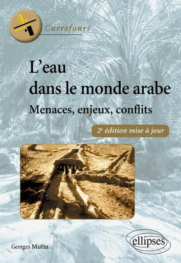 L'eau dans le monde arabe ; menaces, enjeux, conflits (2e édition)