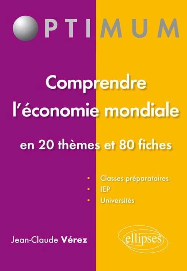 Comprendre l'économie mondiale : en 20 thèmes et 80 fiches