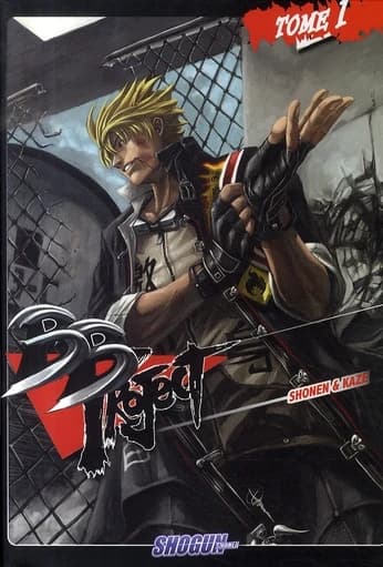 BB project. Tome 1