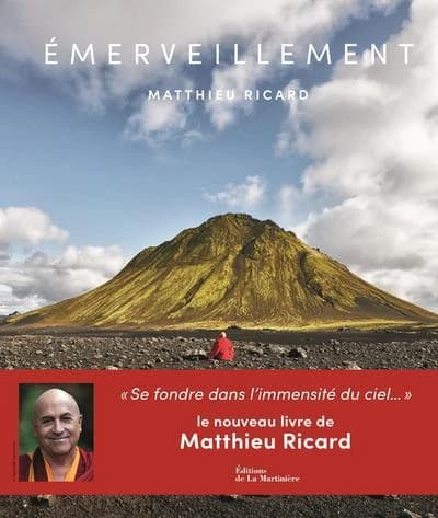 Emerveillement : se fondre dans l'immensité du ciel...