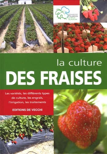 La culture des fraises