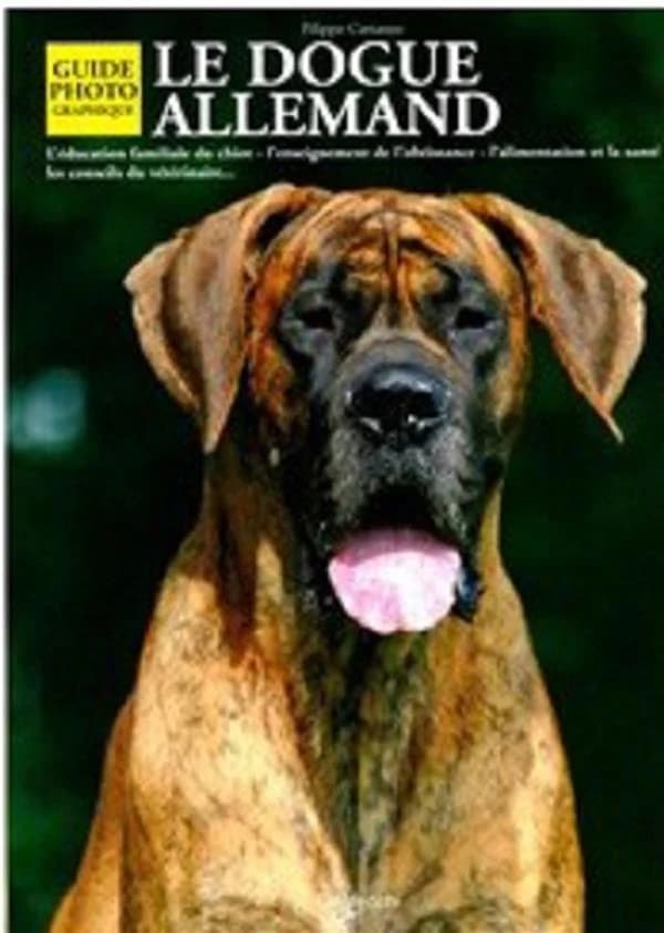 Le dogue allemand