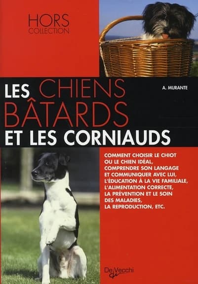 Les chiens bâtards et les corniauds