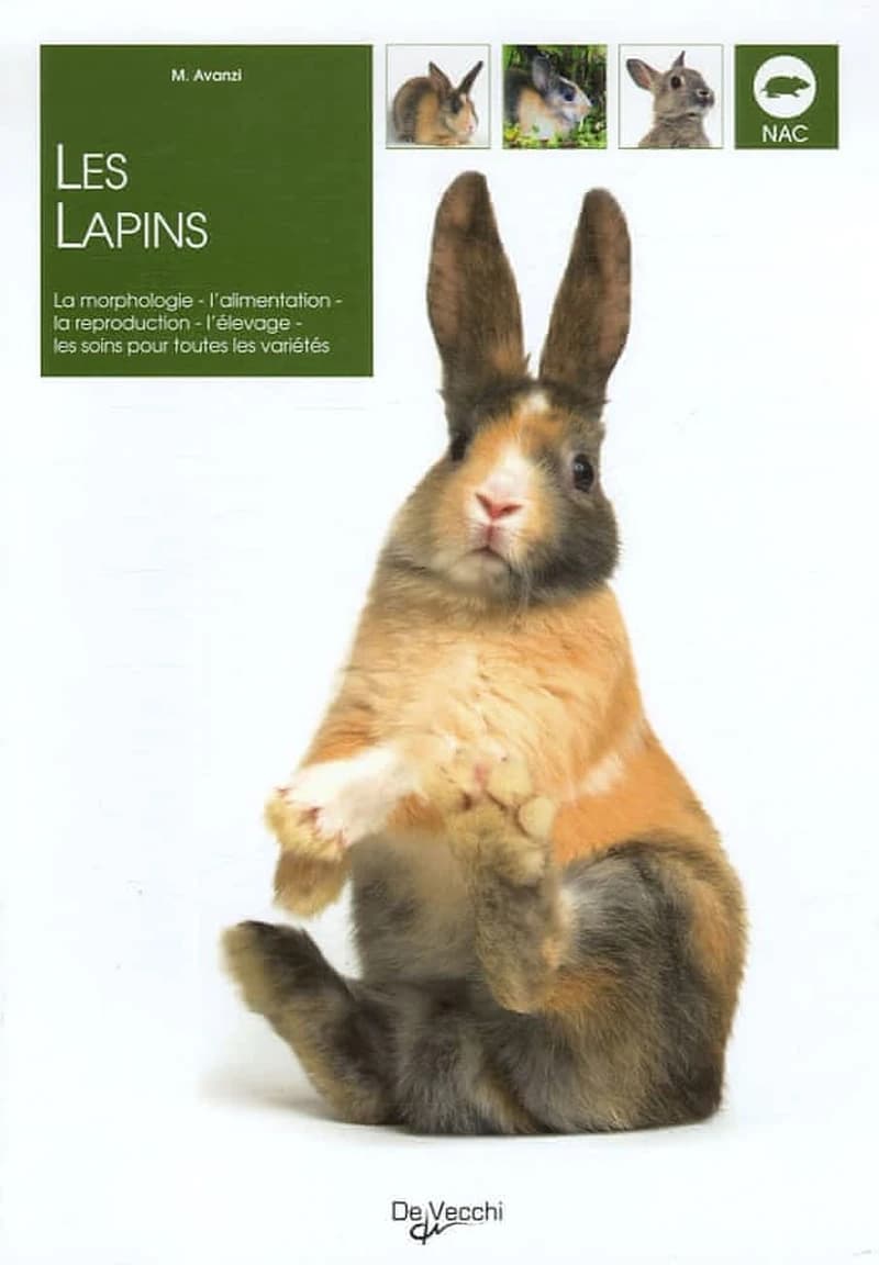 Les lapins (Nouvelle éd.) M. Avanzi ; [traduction de l'italien par Frédéric Delacourt]