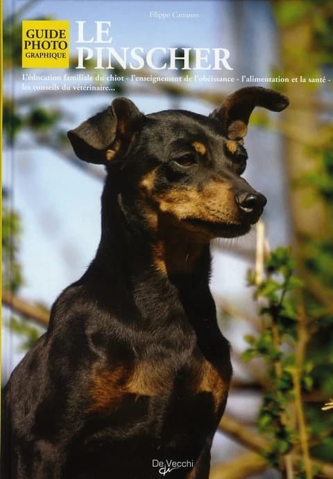 Le pinscher (Nouvelle éd.) Filippo Cattaneo ; [traduit de l'italien par Nelly Turrini]