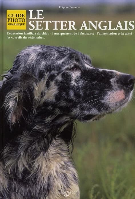 Le setter anglais (Nouvelle éd.) F. Cattaneo ; [traduit de l'italien par Isabelle Langlois-Lefebvre]