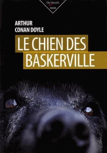 Le chien des Baskerville
