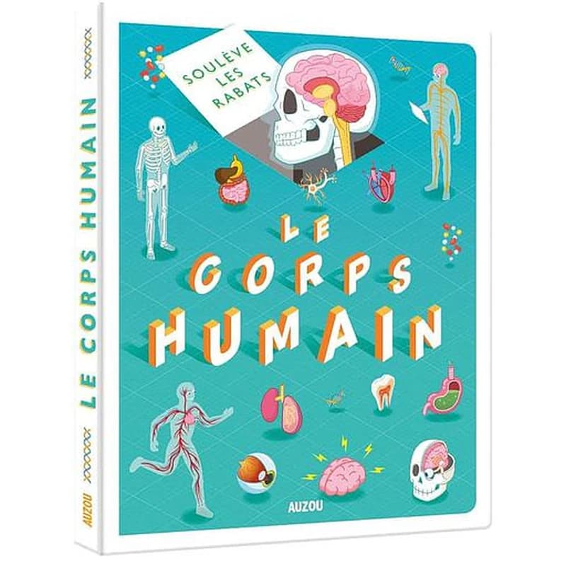 Le corps humain