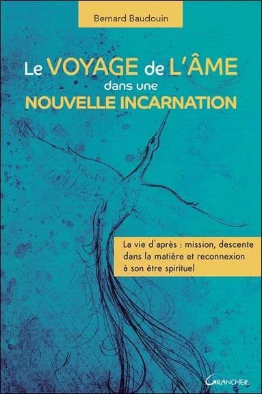 Le voyage de l'âme dans une nouvelle incarnation : la vie d'après : mission, descente dans la matière et reconnexion à son être spirituel